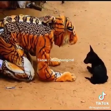 10K views · 37 reactions |  | Physics Theories | Facebook