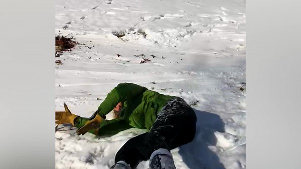 Hilarious Holiday Mishaps