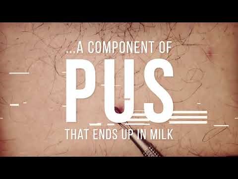 The Pus in Your Milk