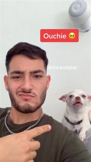 Dealing with Possessive Dog Behavior - Expert Tips and Advice