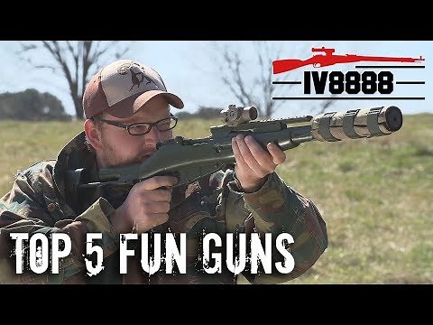 Top 5 Fun Guns Just Because