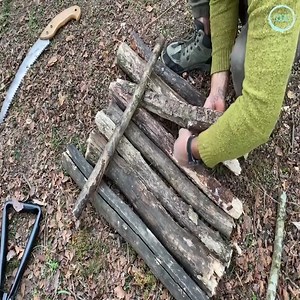 15 reactions | Building complete and warm pallet house near a stream to survival in the forest1 | Mohit Singhania | Facebook