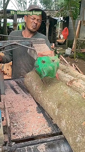 Skills ‼️ membelah kayu mahoni menggunakan gergaji bulat #gergajiserkel #kayumahoni | Suwarni Warni