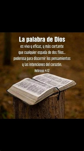 Dios está aquí | Mary Castro