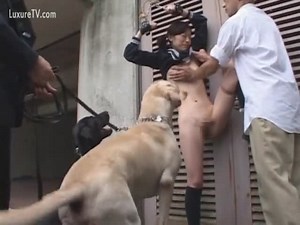 BDSM zoophilie et humiliation zoo pour une japonaise