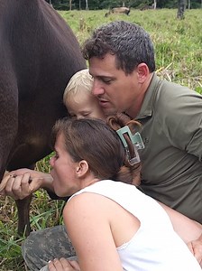 We get our daily milk #farmlife #homesteading ##cowmilk | Cow Farm