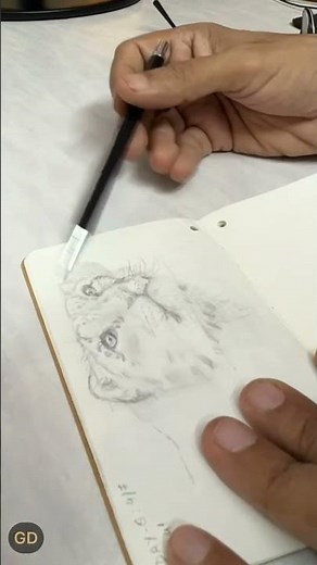 Quick-Sketch: Snow Leopard (Timelapse Drawing)