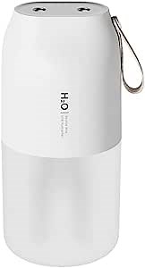 Amazon.com: AIWE7D Small Humidifiers for Bedroom Portable Mini Humidifier Nightstand for Travel Home Office Desktop Evaporative Air Mist Humidifier with Strap 2 Spray Mouth : Home & Kitchen
