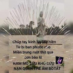 15K views · 609 reactions | Tím chung tình on Reels | Facebook