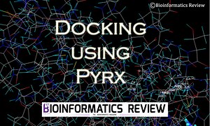 How to perform site-specific docking using Pyrx? — Bioinformatics Review