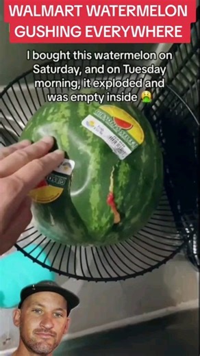 #walmart #watermelons #explode #everywhere | Justin PrimalDad Kyser