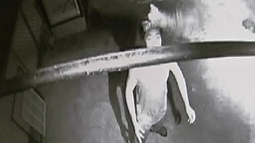 Suspected kitten abuse caught on camera