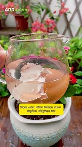 4 Magical Homemade Water Fertilizers Your Plants Will Love! 🌱✨