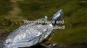 Top 20 Alexander Pope Quotes. @DailyQuotesHD. #AlexanderPope #Poetry #Literature #TheRapeOfTheLock #EnglishPoet #18thCentury #Satire #Wit #ClassicLiterature #BritishPoet #Neoclassicism #Enlightenment #Verse #Popean #PoetLife #LiteraryGenius #PoeticWisdom #Rococo #CulturalHeritage #PoetryCommunity #AlexanderPopeQuotes. | Positive Quotes