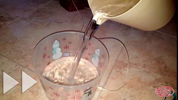 Santas Secret® Treat - New 2019 Automatic Christmas Tree Watering System (Cookie Tub) Waterer Lowest Price | Made in USA