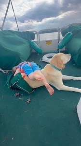 Brandon Card on Reels