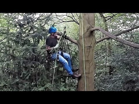 Single Rope Tree Climbing Techniques SRT