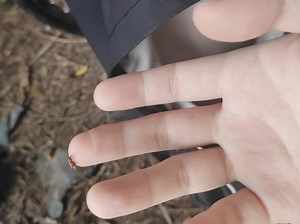 【杨成功ycg】我的最新作品，快来一睹为快！