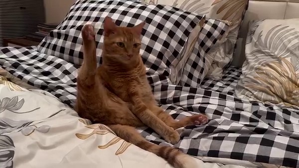 1.8K views · 92 reactions | HowTo on Reels | Facebook