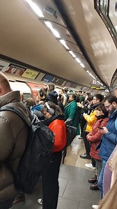 Delays on the tube, Northern Line 😭 | Wonders of London