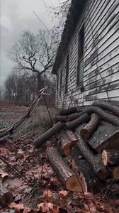 A massive python EXPLODED out of a stacked wood pile without warning. One second it was quiet… the next was pure chaos and raw terror. This is why nature is never safe. 🐍💥😱 #giantpython #pythonattack #extremesnake #pureterror #nightmarefuel #caughtoncamera #wildlifehorror #dangerousencounter #snakeemerges #natureturnedevil #scaryreels #viralshorts #reelsviral #shockvideo #dontblink #wildanimalattack | Bakti Saputra