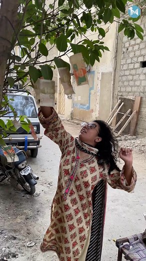 If paise darkahto pe lagty hote🤓 #money #moneyontrees #coin #500k #viralreels #fbreels #fyp #trendingnow | Metatainment