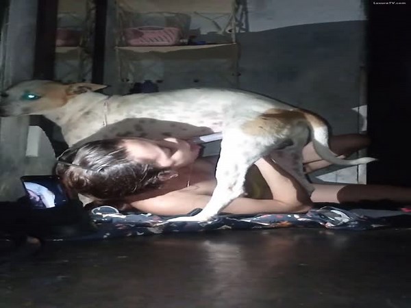 Homemade dog sucking