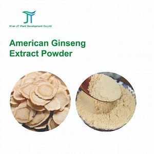 [Hot Item] Natural Plant Extract American Ginseng Extract Powder Total Ginsenoside, Ginseng