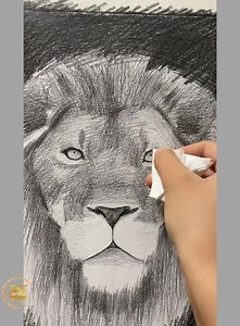 draw a lion with a super nice pencil | Dr.NGO