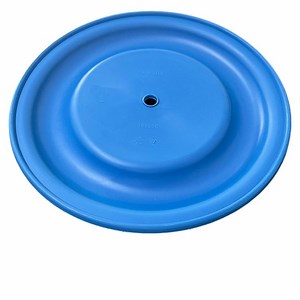 [Hot Item] Aodd Pump Repair Part 189296 Neoprene Diaphragm Replacement Kit
