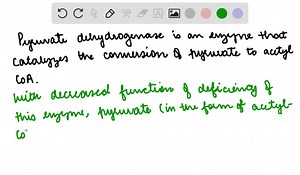 SOLVED:How would a deficiency of pyruvate dehydrogenase activity affect blood pH?