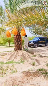 3.5K views · 256 reactions | #Allah #nature | 퓐퓰퓻퓲퓬퓾퓵퓽퓾퓻퓲퓼퓽 퓗퓪퓼퓼퓪퓷 퓡퓪퓼퓱퓭퓲 퓣퓮퓪퓶 | Facebook