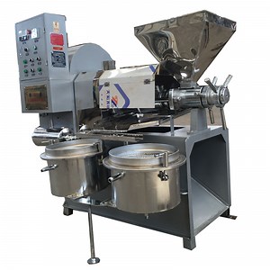 [Hot Item] Automatic Olive Oil Extraction Machine Cold Pressed Avocado Oil Machine