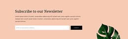 Newsletter subscription - HTML Template by Nicepage