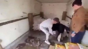 غير impostor كايدير fake tasks | I don’t feel safe in Morocco