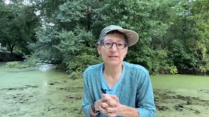 What's THIS? Bewildering Blob in the Water