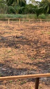 84K views · 7.5K reactions | Setting out process Sampee Assurance Construction company LTD —SACC | Sampee Assurance Construction company LTD —SACC | Facebook