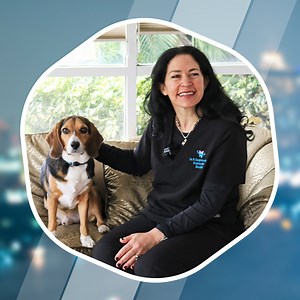 HAB Dentistry - Geotarget