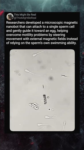 Nanobot Guides Sperm to Egg