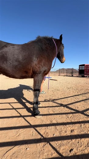 Giving to pressure | Scout's Trail