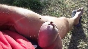 fun with the fly outdoor HD video 23