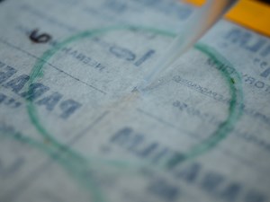 비디오: 종양 미세환경 및 표적 약물 요법 연구를 위한 뇌 종양/유기형 슬라이스 공동 배양 시스템