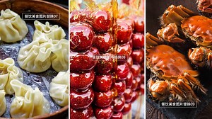 Pr Template For Split-screen Display Of Dining Food Pictures Video PRPROJ Template Free Download - Pikbest