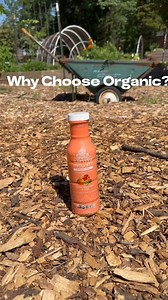 🌿✨ Why choose organic? Our guest collaborator from EarthDance Organic Farm School @earthdancefarms answers that question. Discover the benefits of organic farming and why it matters. Karviva is proud to support this amazing Ferguson, Missouri farm! 🌱💚 | Karviva Whole Plant Wellness Drinks
