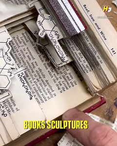 Transforming books into incredible sculptures 🤯 | Hollywood Journal