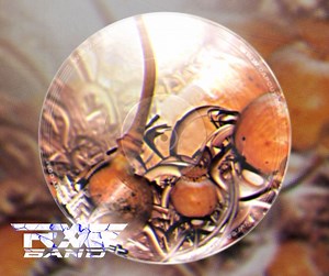 Opium Of The Mases - Mentalism. | RAVE BAND