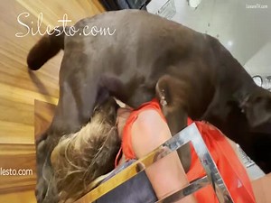Veronica Silesto Blowjob Compilation