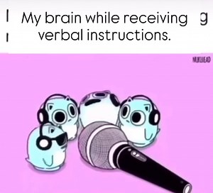 Me when getting instructions on delicate lab equipment 🥶 | This amuses us, it may not amuse you