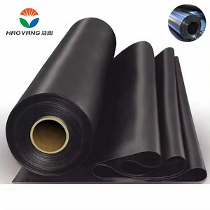 [Hot Item] HDPE Geomembrane for Dam/ Landfill/ Tailings Pond 1.5mm