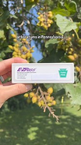 Exploring the beautiful Morris Arboretum & Gardens off the PA Turnpike with Emily Scalzo. | Pennsylvania Turnpike